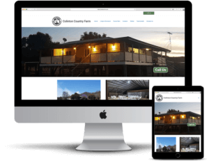Cheap Website development