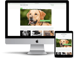 Large Business Website Design team