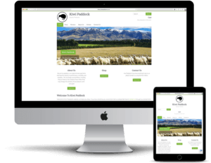 Small business website designers