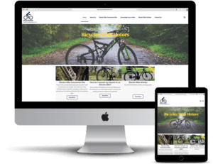 Sporting website designers